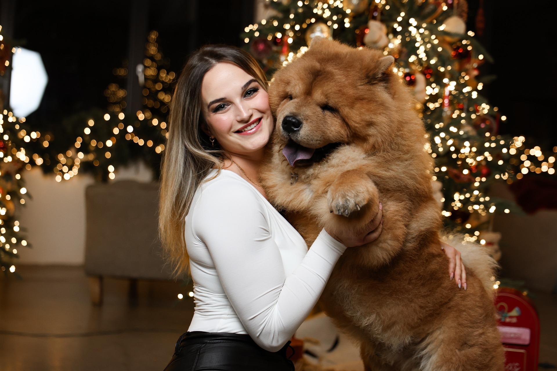 Fanetti La Vita Guccio Gucci